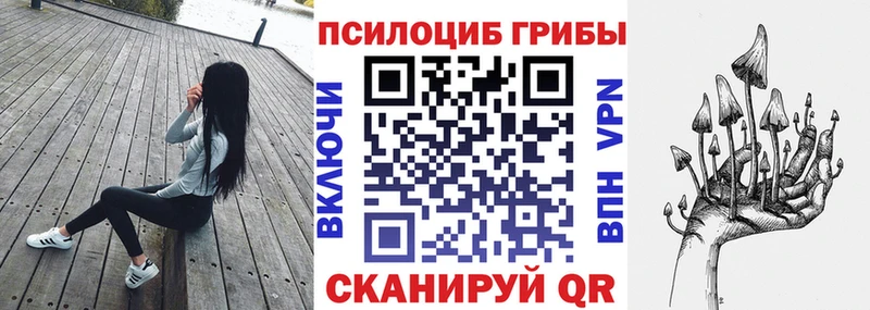 Купить где  Кировград  Псилоцибиновые грибы ЛСД 