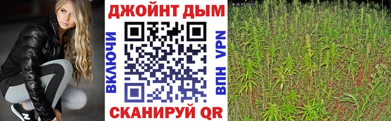 Конопля план Купить где Кировград